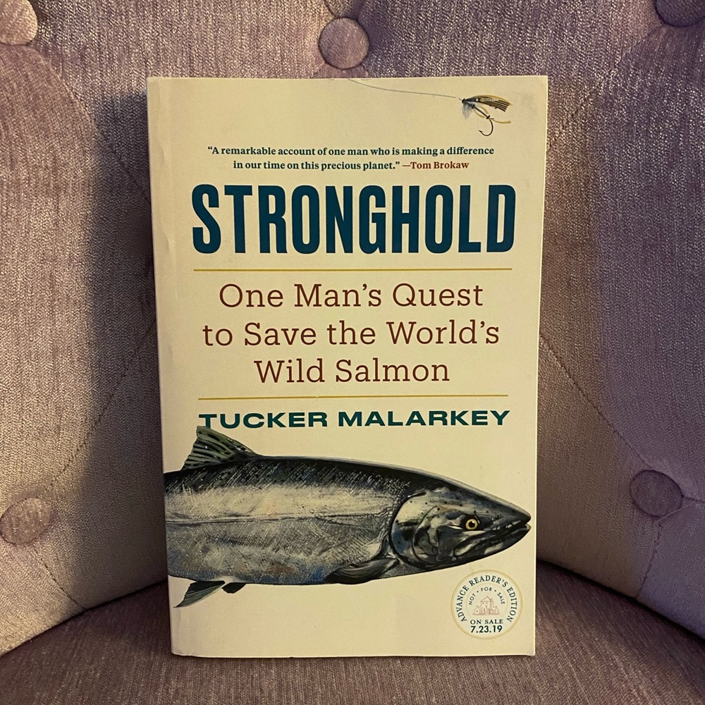 Stronghold book